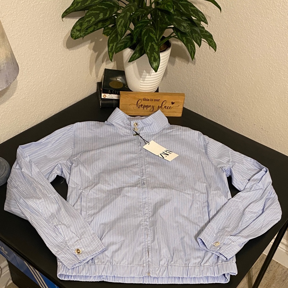 Zara Light Blue Striped Jacket